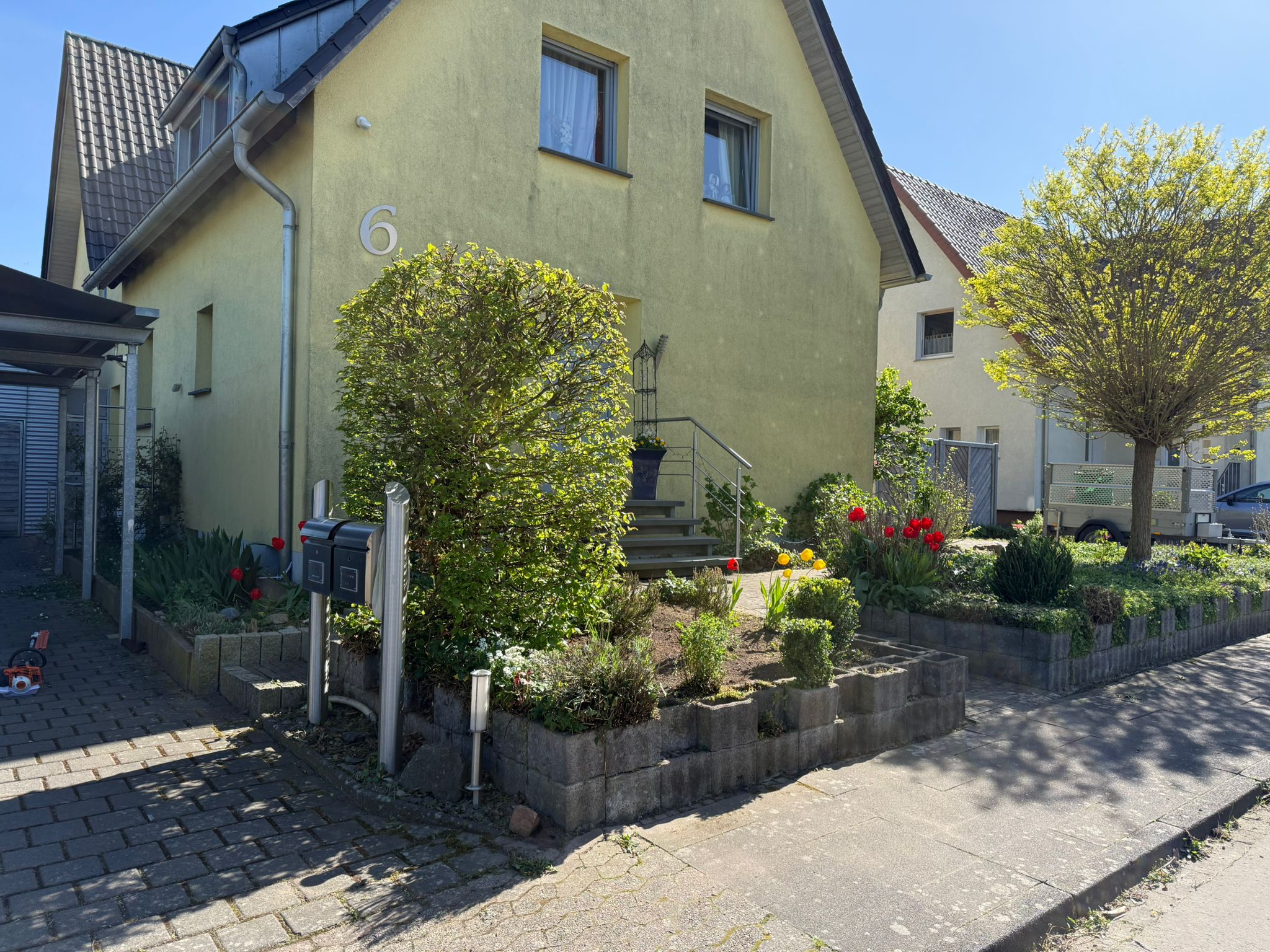 Nachher – gepflegte Hecke