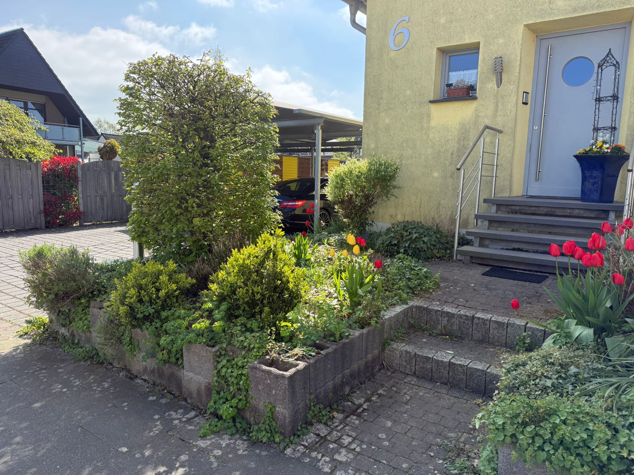 Vorher – ungepflegte Hecke