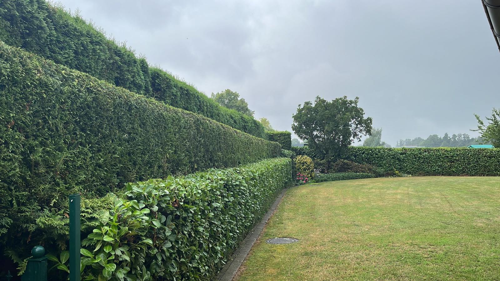 Nachher – gepflegter Garten